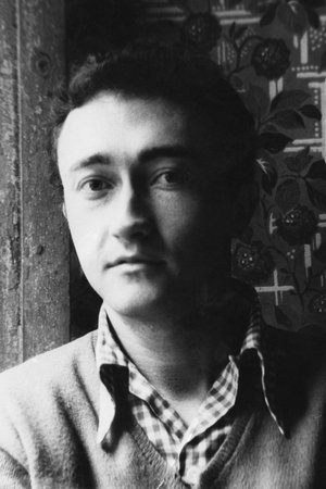 柯蒂斯·哈灵顿