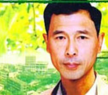 夏季无风