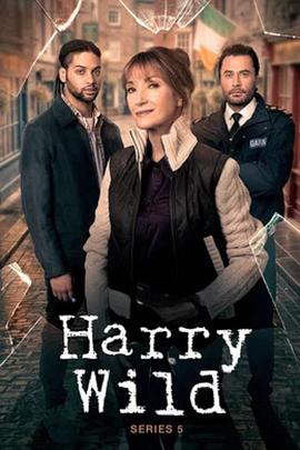 野探哈莉第五季